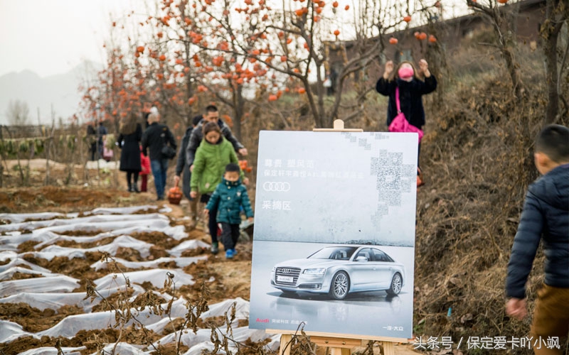 保定轩宇鑫悦奥迪竞秀区,高档红酒品鉴欣赏