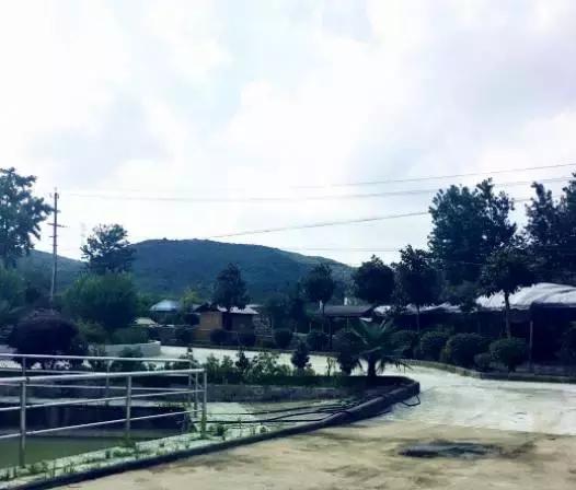 南京好玩的农家乐度假村排名,南京农家乐周末最值得一去的地方