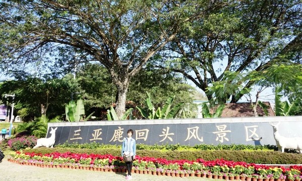 全家到三亚,全家去三亚过春节费用