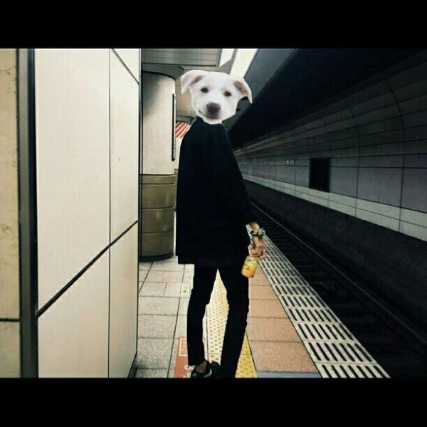 太瘦衣服撑不起来怎么搭配,大学生如何搭配衣服口诀