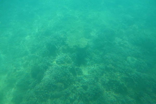 全家去三亚自驾过年攻略,十一月份带全家去三亚