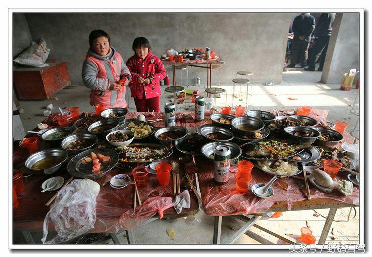 野鹅自驾甘肃,野鹅自驾