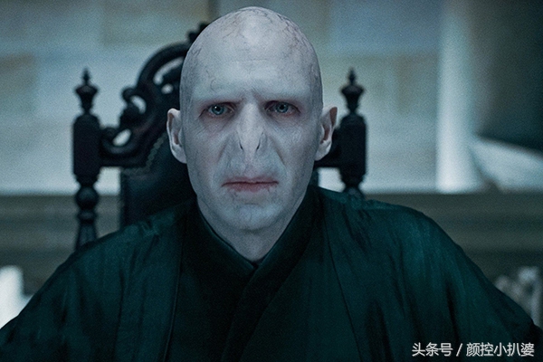 神奇动物有几个彩蛋,神奇动物在哪里系列深度解析