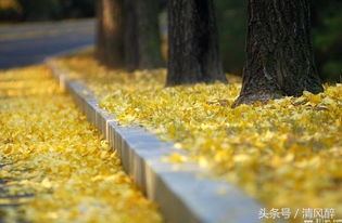 三个人友情语录短句子伤感,三个人的友情语录伤感文案