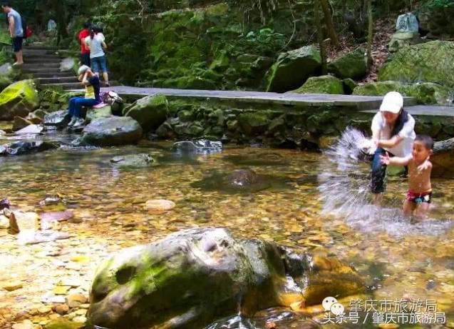 广肇城际轻轨最新官方消息,广肇城际在广州哪儿上车