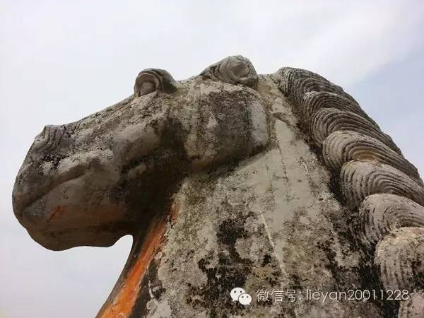 跨越千年时光看兵马俑,跨越千年唐十八陵
