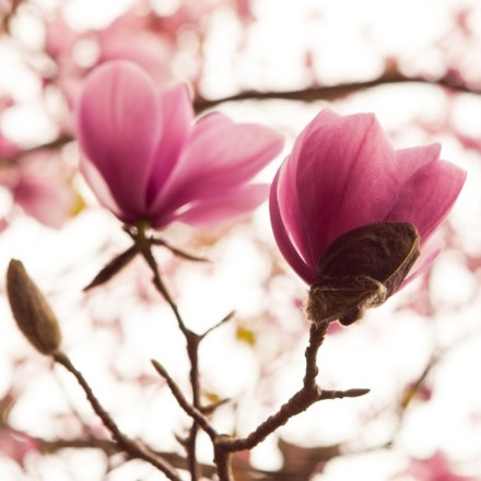 经典的心灵鸡汤句子适合发朋友圈,早安心灵鸡汤简短好句子朋友圈