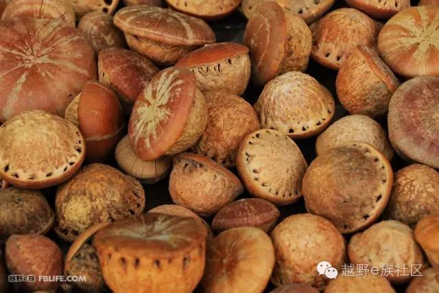 说走就走出去溜达,说走就走出去玩视频