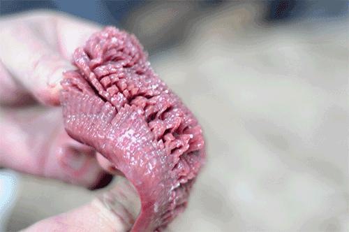 门头沟人吃火锅奔这儿！新开麻辣英雄火锅城所有菜品一律八折！