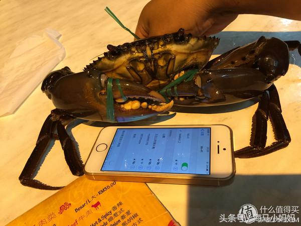 仙本那考潜水证日程,去仙本那潜水要考什么证