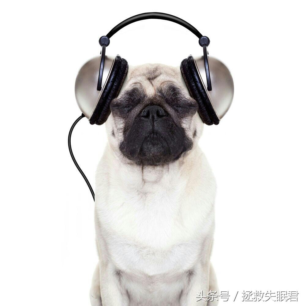 5首经典助眠音乐拯救失眠党,治疗失眠的十大经典轻音乐