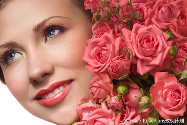 鲜花花语大全送花的讲究,花语及送花常识