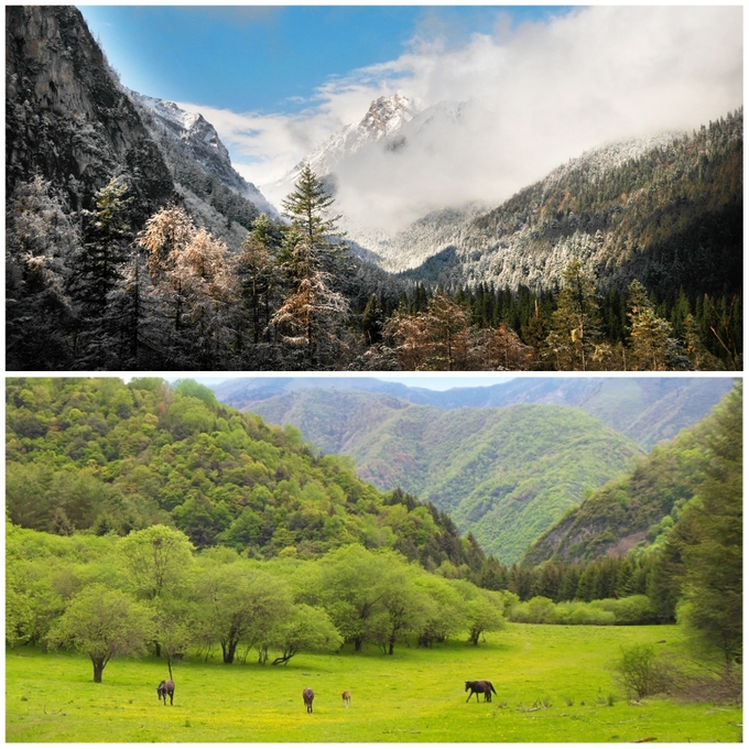 川北白马王朗现状,探寻川西高原秘境系列第一集