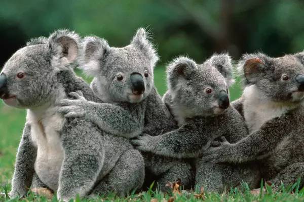 2021年南宁平均工资,南宁市2017平均工资标准