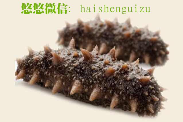 双十二海参猫腻 (双十二海参怎么搞活动)