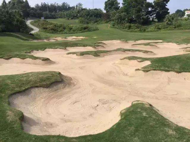 世界冠军专程助阵,为参赛球队提供总决赛球场最全攻略