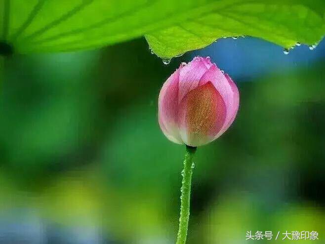 小说推荐韩思语,徐晟韩思语小说结局