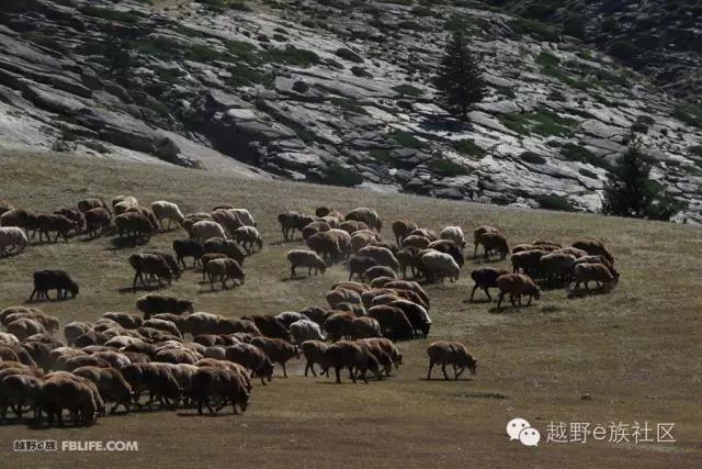 说走就走出去溜达,说走就走出去玩视频