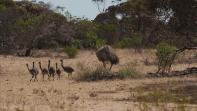 中国最孤独的酒店,世界最孤独的酒店安缦