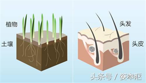 头发柔顺光亮怎么做到的,头发怎么洗才能柔顺变亮