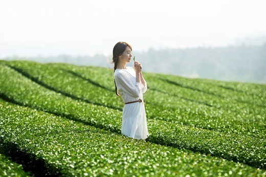 悦诗风吟有什么好用的,悦诗风吟有哪些值得买的