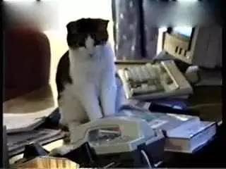 春运火车票下周,春运期间怎样可以抢到火车票