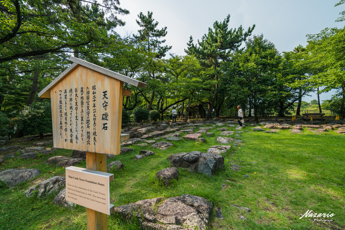 粉红猪小妹与小猪佩奇,粉红猪小妹的快乐生活