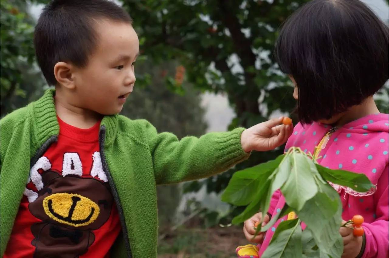 青白江，一个幸福感爆棚的城市，因为我们这样生活……