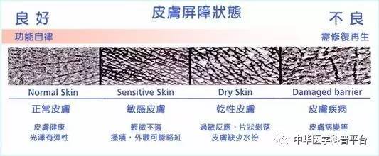 每天都在洗,皮肤这道“城墙”是怎样建成的