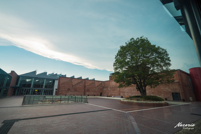 粉红猪小妹与小猪佩奇,粉红猪小妹的快乐生活