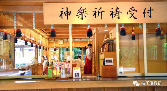 樱花旅行记全集视频,樱花季日本14天旅游攻略