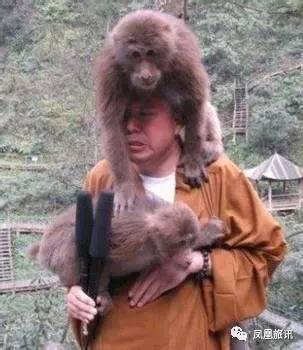 国内居然还私藏了一座“温暖之寺”！网红延参说这是一片忘忧之境