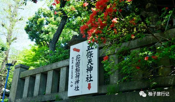 樱花旅行记全集视频,樱花季日本14天旅游攻略