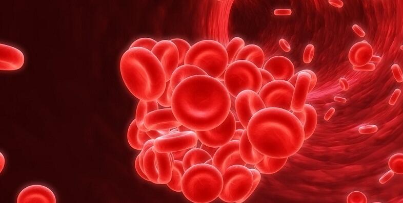 运动配合左旋肉碱减肥靠谱吗,左旋肉碱神奇作用