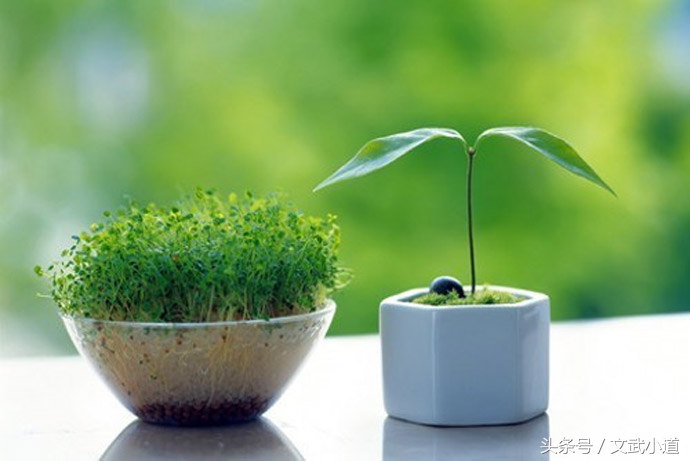 心平百难散意定万事吉什么意思,心平万事皆自愈