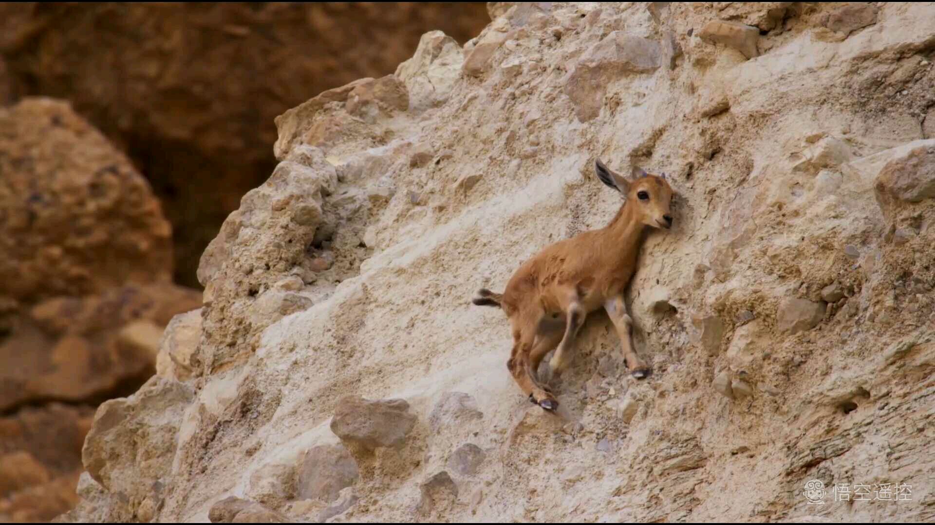 天猫魔盒测评最新,天猫魔盒3pro和6pro区别