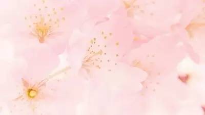 我心素已闲,我心素已闲原文