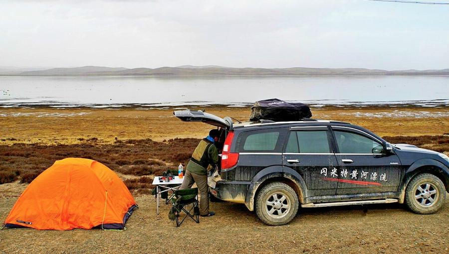 狼真的来了图片,狼真的来了吗全集