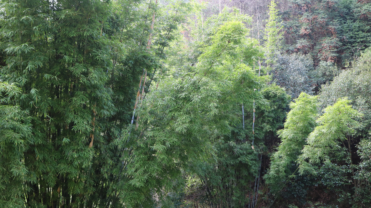 佳能微单相机推荐eosm3,eosm3