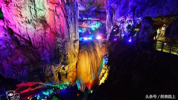 连州菜心拍卖最高价,至尊连州菜心什么价