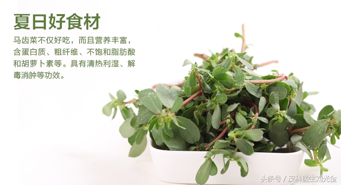 什么草治皮肤病最有效,田间草治什么病最好