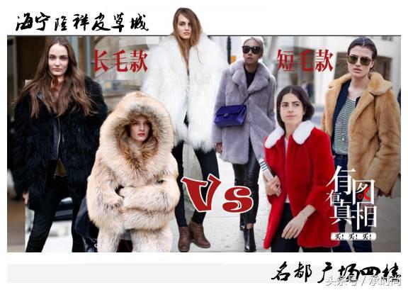 北方姑娘对貂的痴迷你不懂