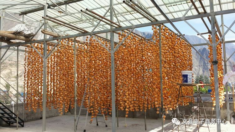 文县贾昌一个“胖子”变”瘦子“的过程