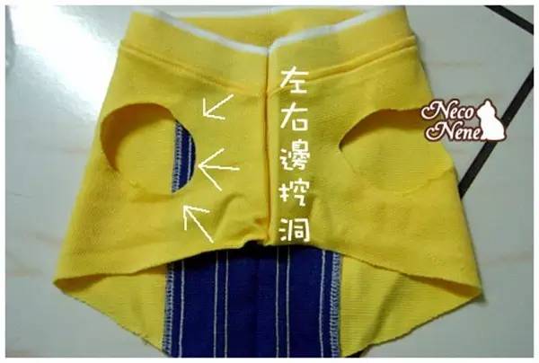 给狗狗洗澡的方法简单易学又省钱,学会这一招让狗狗乖乖听话