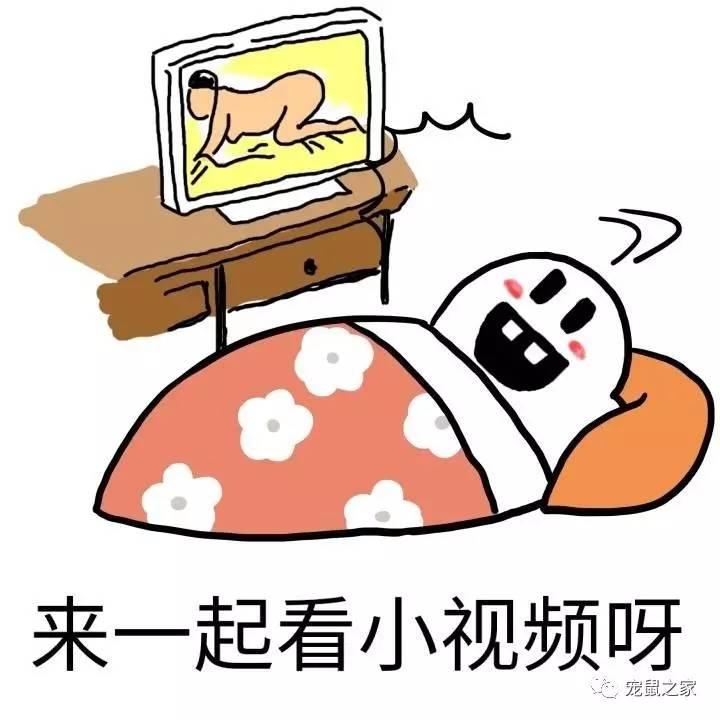 缇庨澶╀笅鍏荤敓澶у笀,缇庨澶╀笅棣欑尓