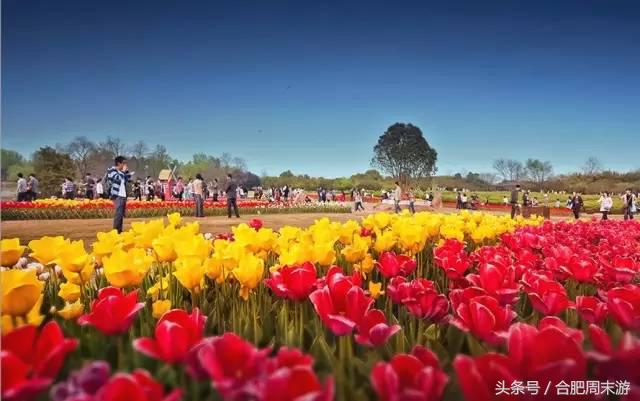 安徽景点门票,吐血整理11个景区全攻略