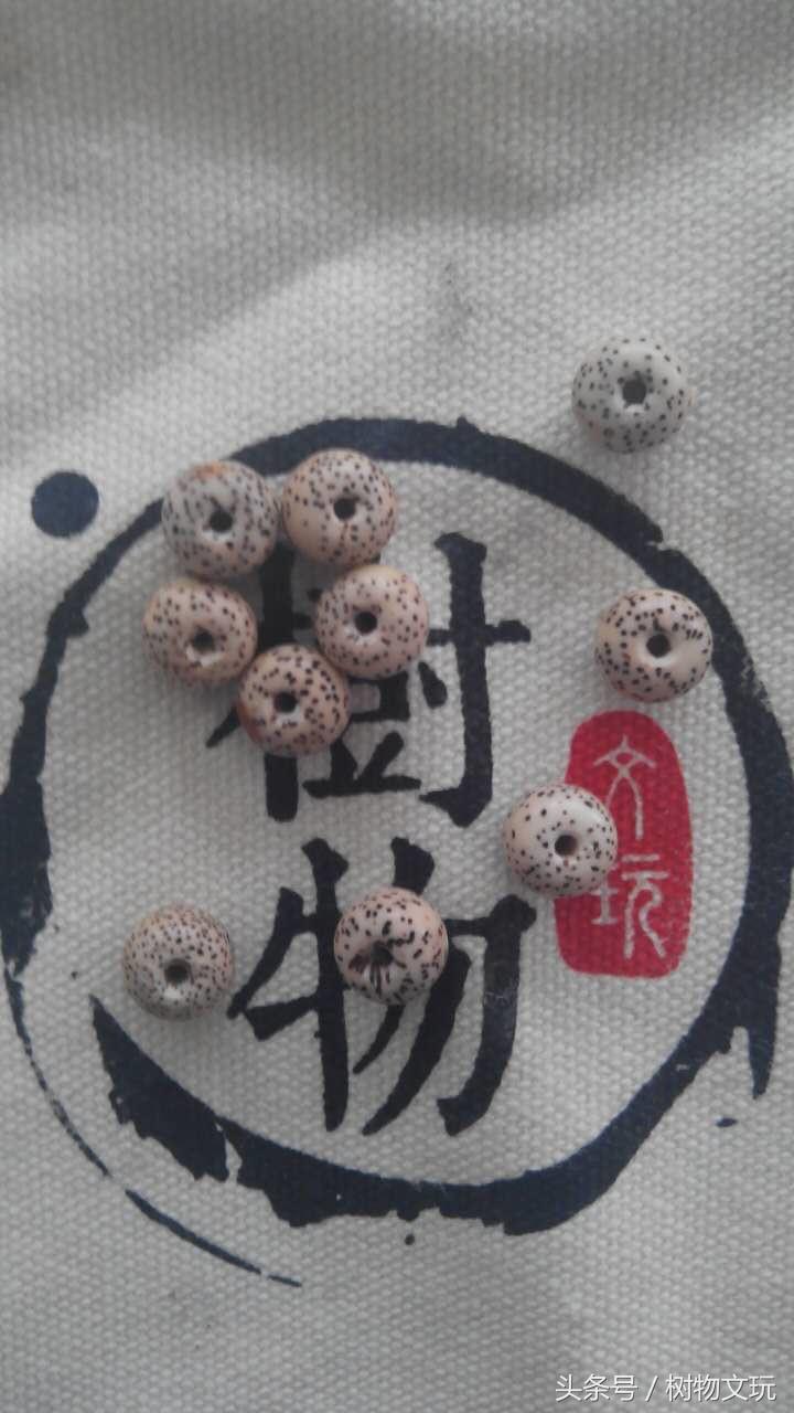 阴皮星月菩提包浆效果图,星月菩提走色的全过程