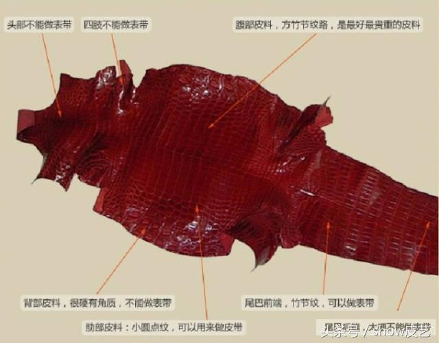 鳄鱼皮如何做皮具,手工皮具鳄鱼皮包