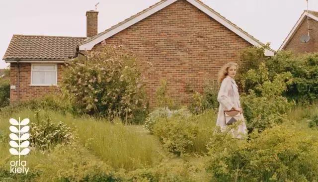 圣诞节大片,100个圣诞节短片