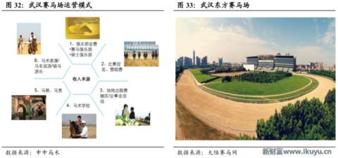 赛马在中国的前景,赛马在中国发展